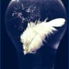 valentin ionut